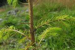 photo-3